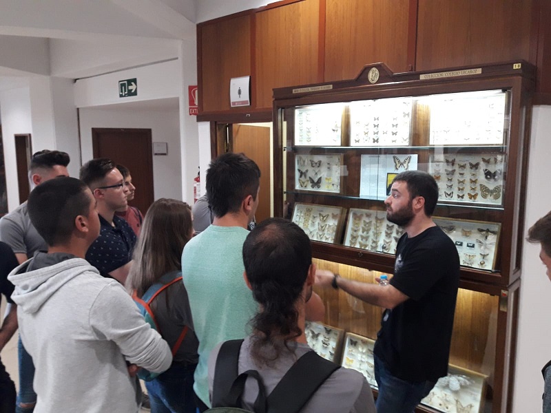 Museo de Ciencias Naturales de Pamplona 2018 09 20