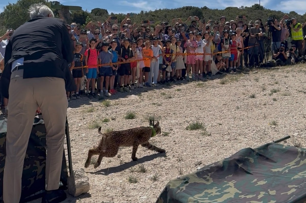 EFA Boalares participa en la suelta de lince ibérico organizada por el Gobierno de Aragón 6 lince 3