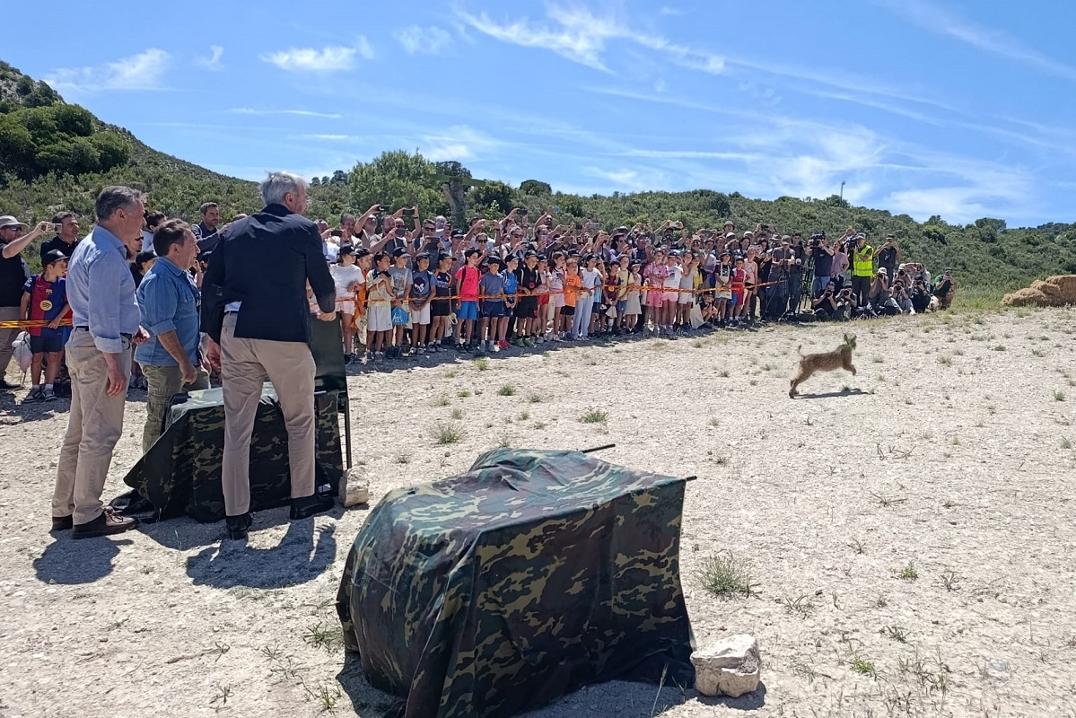 EFA Boalares participa en la suelta de lince ibérico organizada por el Gobierno de Aragón 5 lince 4